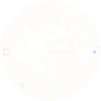 Hawk Motorcycles