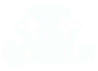 King's Bike