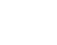 +Swiss Solutions